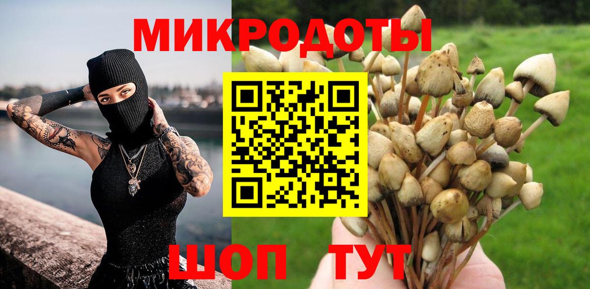 Галлюциногенные грибы Cubensis Махачкала